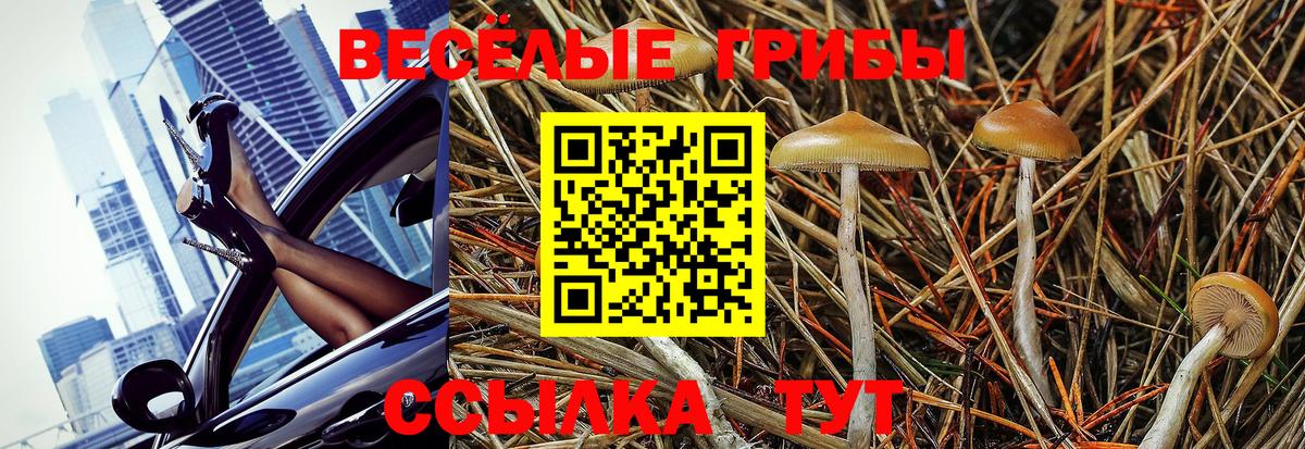 Галлюциногенные грибы ЛСД Екатеринбург