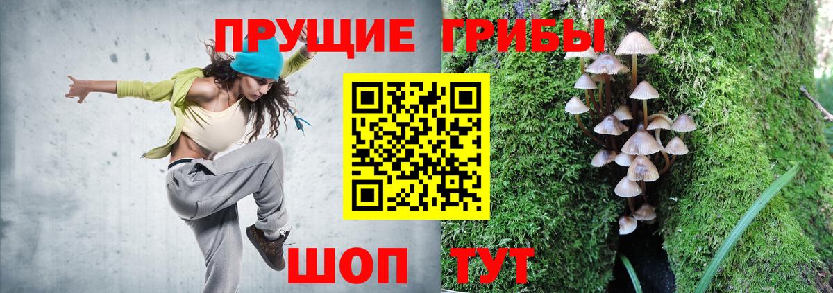 Псилоцибиновые грибы Cubensis  Вход с VPN  Псилоцибиновые грибы Psilocybine cubensis  Екатеринбург 
